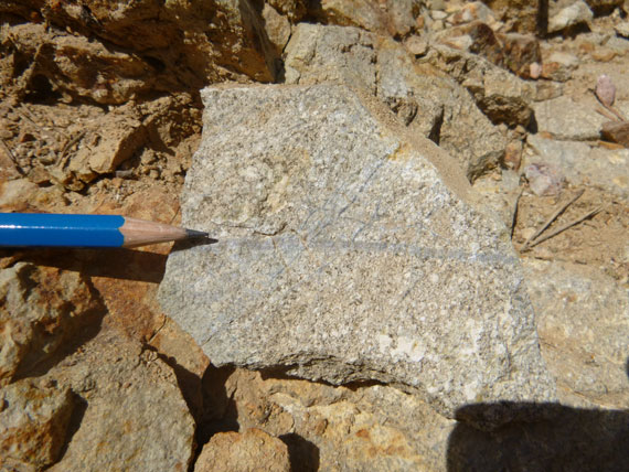 Quartz-magnetite stockwork in granodiorite.