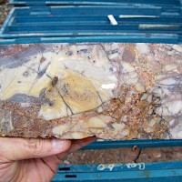 More great gold habitat; brecciated sedimentary host rock with large quartz vein clasts and oxide mineralization. Akarca gold-silver project, western Turkey