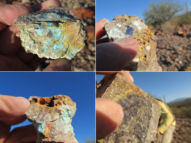 Mineralization in the altered Escabrosa limestone on the Lomitas Negras project. Clockwise from upper left: Cu-oxide and wulfenite (Mo); galena and wulfenite; chalcocite, wulfenite and Cu-oxide.