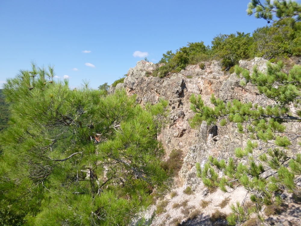 Silica cap outcrop at the Alankoy project