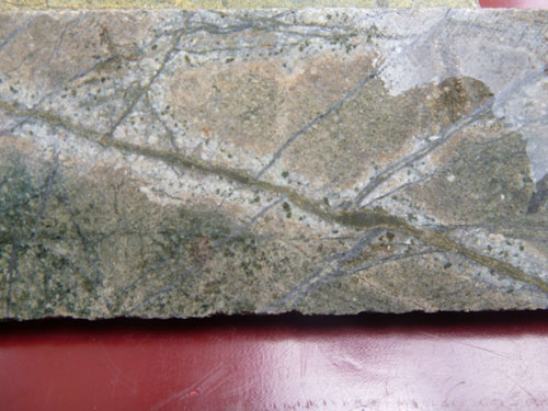 Porphyry style alteration and mineralization from Sisorta.