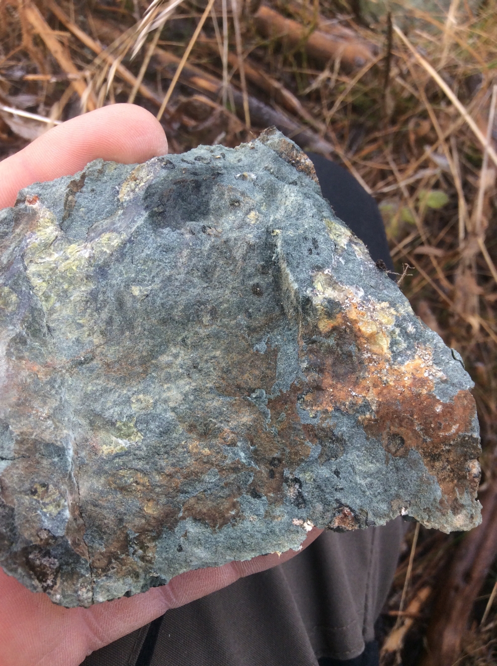 Ni-Co-Cu mineralized sample from dump material on EMX property