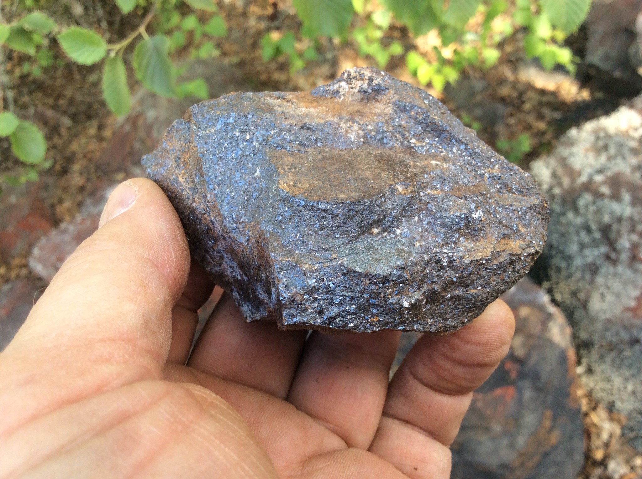 Carbonate replaced with coarse sphalerite
