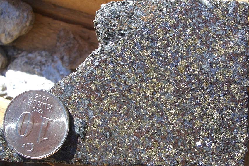 Mineralized rock.