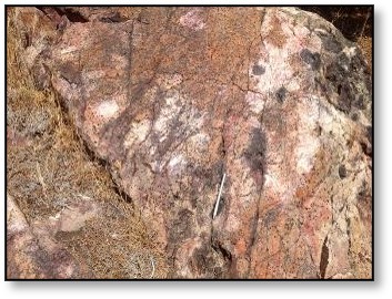 Quartz sulfide veins in Prospect Mountain Quartzite