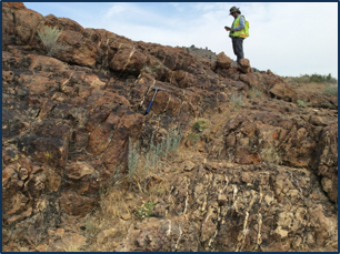 Geologist overlooking outcrop with stockwork quartz.