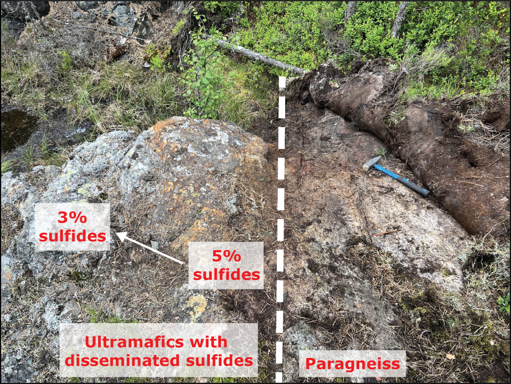 Ultramafic outcrop with disseminated sulfides